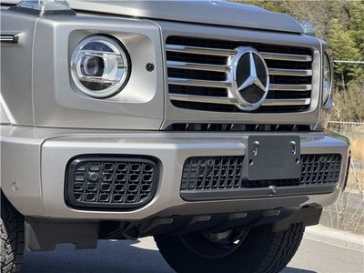 2025 Mercedes-BENZ G-CLASS 缩略图 21