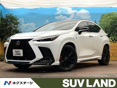LEXUS NX - 1