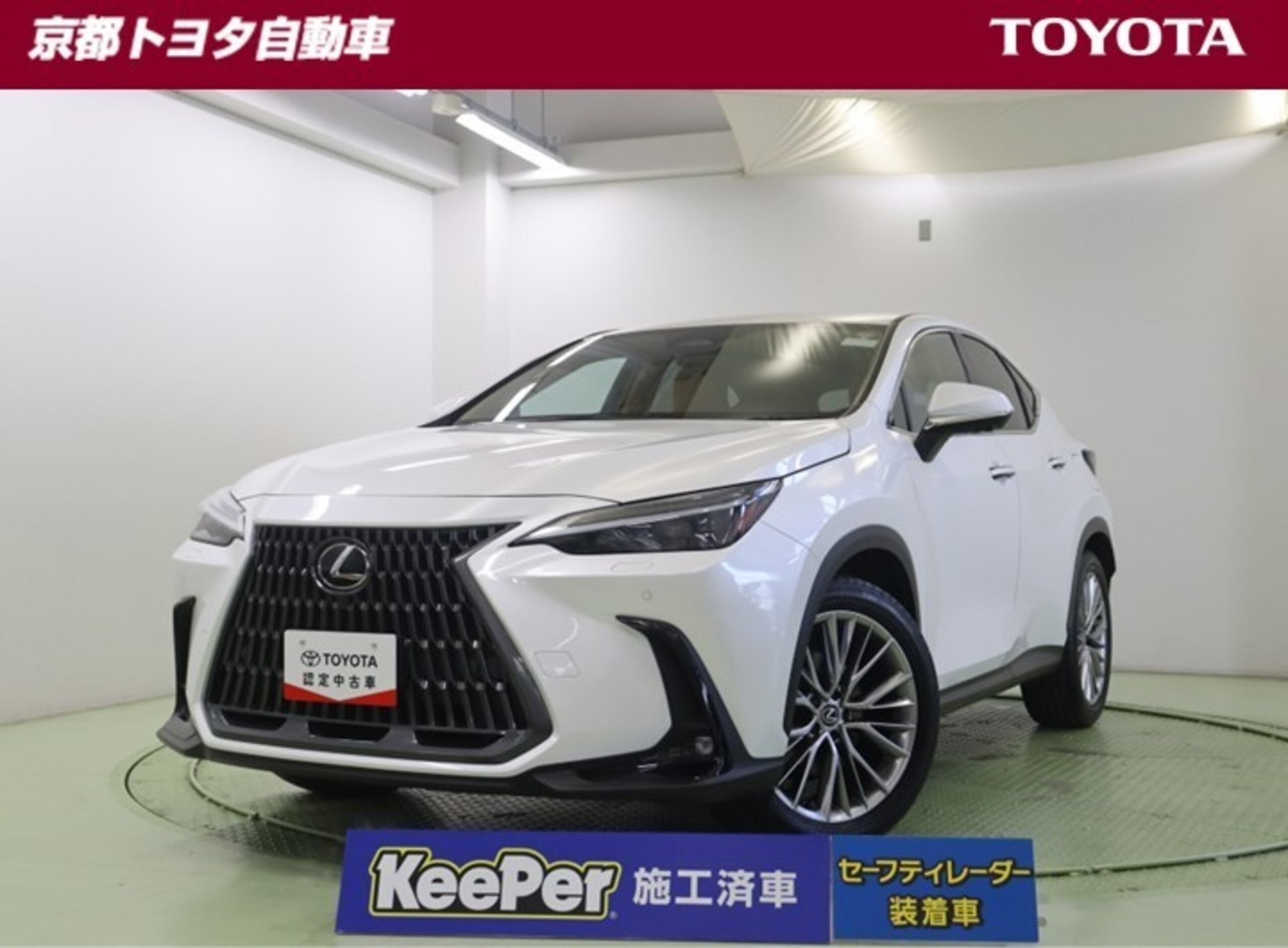 LEXUS NX - View 1
