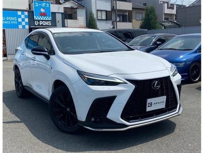 2025 Lexus NX 照片 1