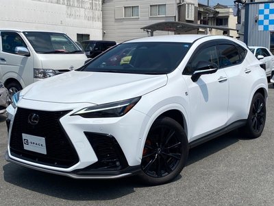 2025 Lexus NX 照片 4