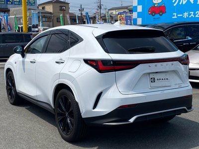 2025 Lexus NX 照片 6