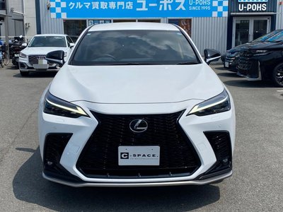 2025 Lexus NX 照片 3