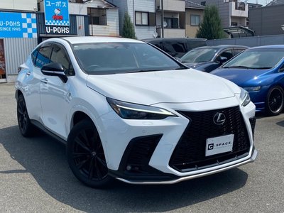 2025 Lexus NX 照片 2