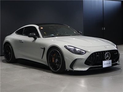 2025 Mercedes-BENZ GT AMG photo 10