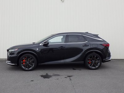 2023 Lexus RX 照片 10