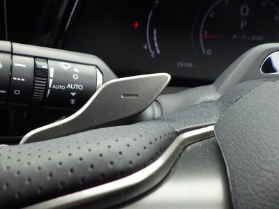 2023 Lexus RX thumbnail 28