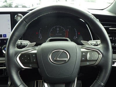 2023 Lexus RX thumbnail 19