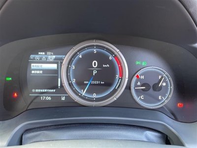 LEXUS RX - 4