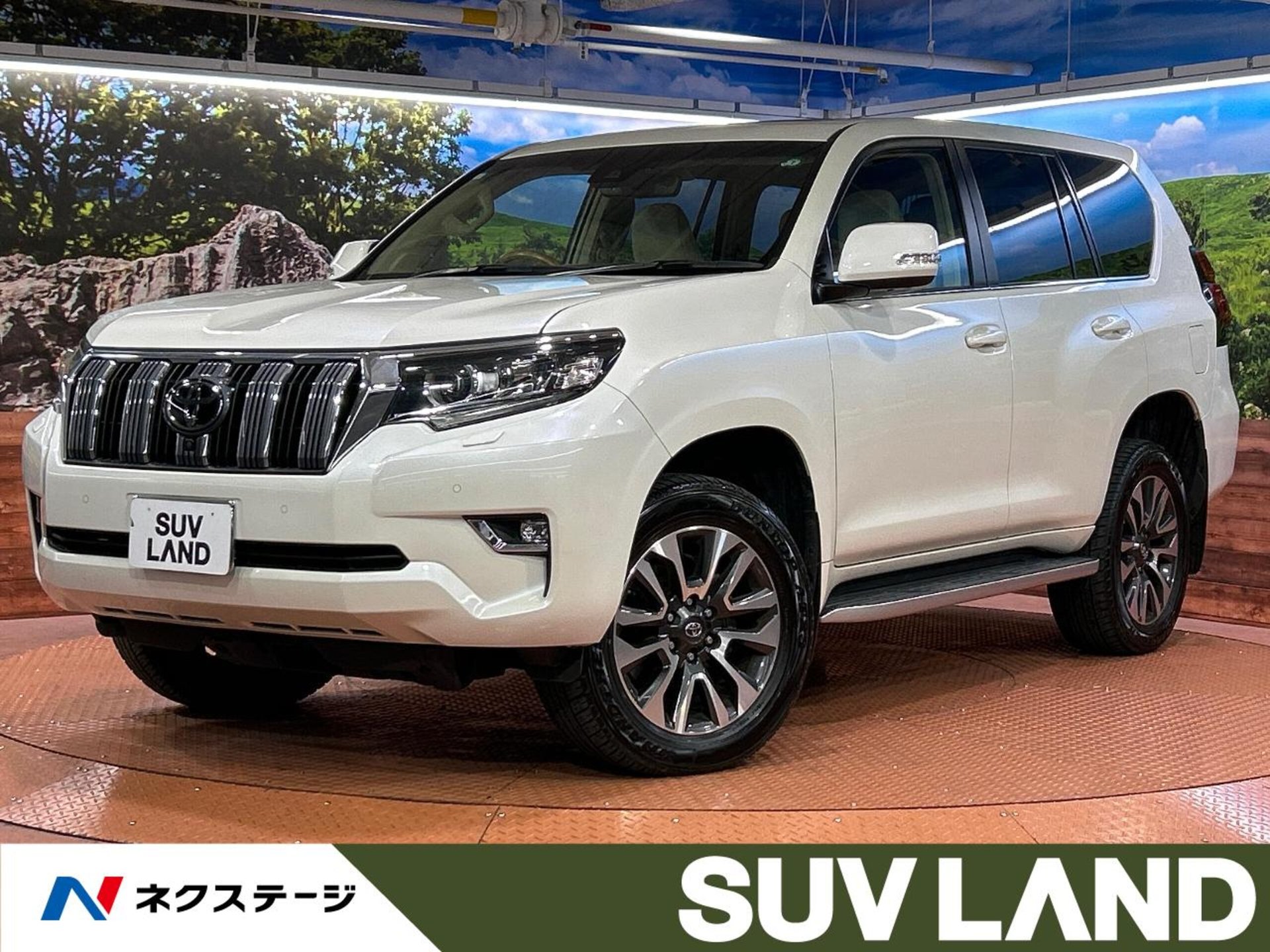 TOYOTA LAND CRUISER PRADO - View 1