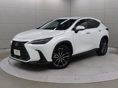 LEXUS NX - 1