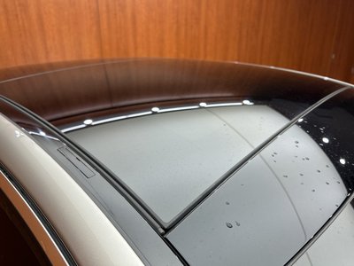 2021 Mercedes-BENZ S-CLASS — миниатюра 61