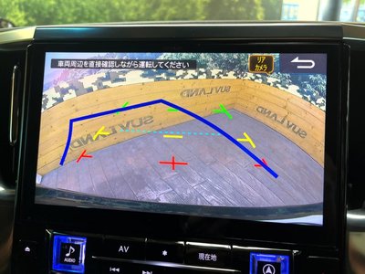 TOYOTA ALPHARD - 6