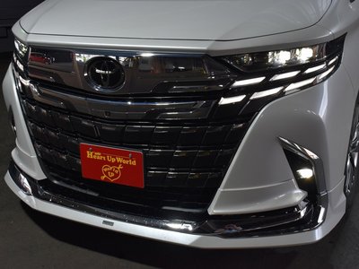 TOYOTA ALPHARD - 3
