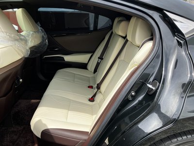 صورة مصغرة 22 لـ 2020 Lexus ES