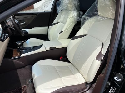 صورة مصغرة 19 لـ 2020 Lexus ES