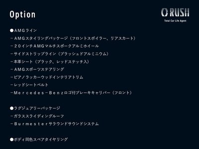 MERCEDES-BENZ G-CLASS - 2