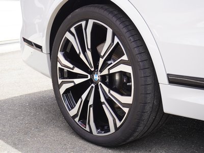 2023 BMW X7 — миниатюра 54