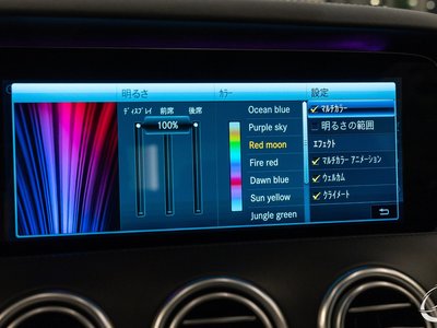 2018 Mercedes-BENZ S-CLASS AMG — миниатюра 53