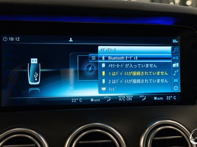 2018 Mercedes-BENZ S-CLASS AMG — миниатюра 48