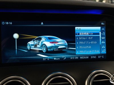 2018 Mercedes-BENZ S-CLASS AMG — миниатюра 52