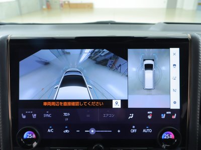 2023 TOYOTA ALPHARD 缩略图 11