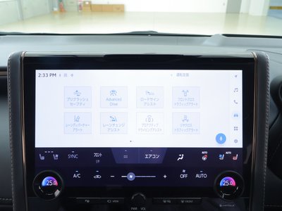 2023 TOYOTA ALPHARD 缩略图 14