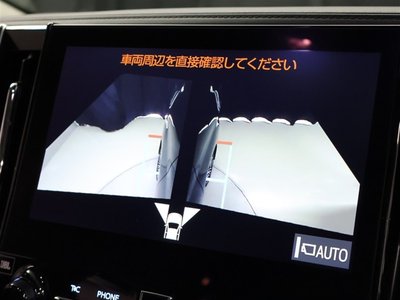 TOYOTA ALPHARD - 10
