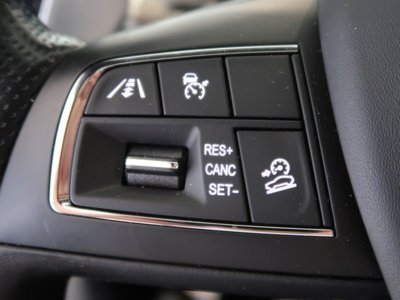 صورة مصغرة 33 لـ 2019 Maserati LEVANTE