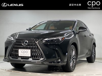 LEXUS NX - 1