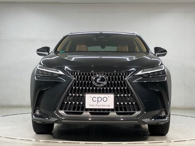 LEXUS NX - 2