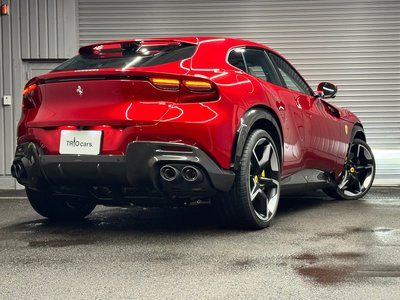 FERRARI PUROSANGUE - 6