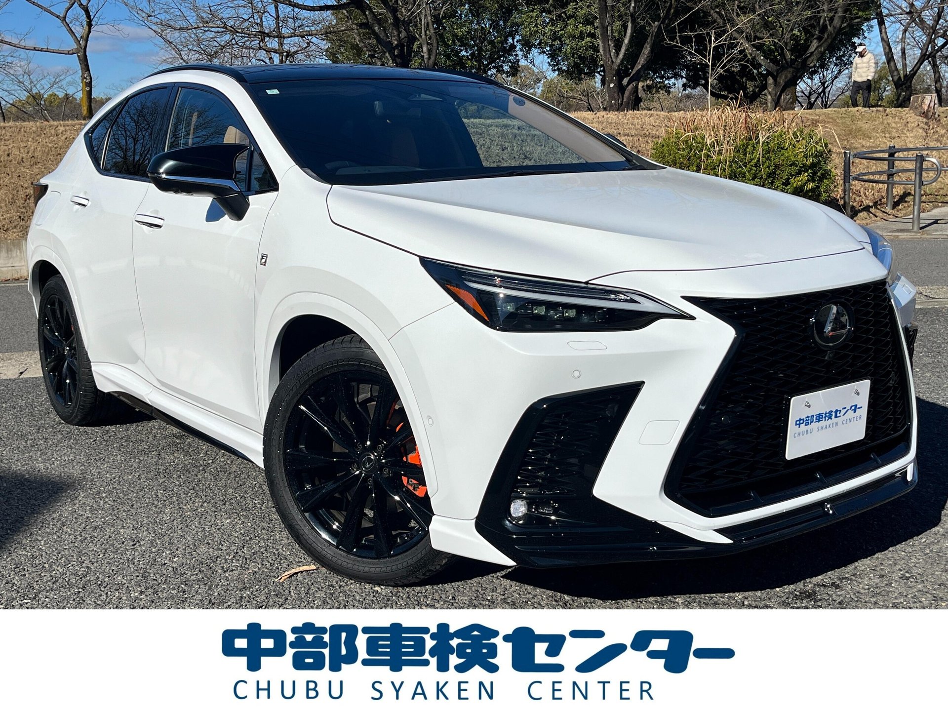 LEXUS NX - View 1