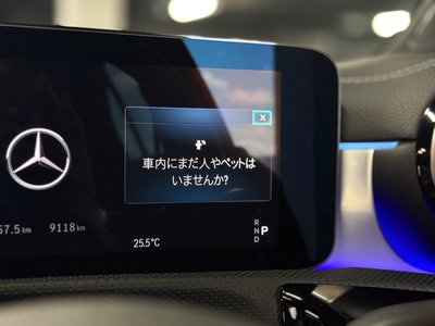 صورة مصغرة 18 لـ 2025 Mercedes-BENZ A-CLASS AMG