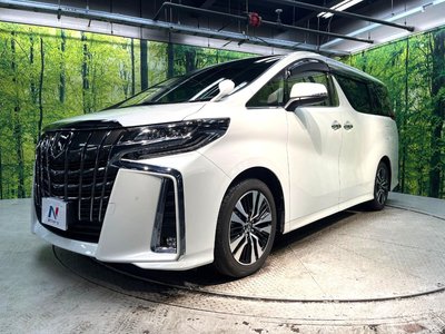 2022 TOYOTA ALPHARD 缩略图 58