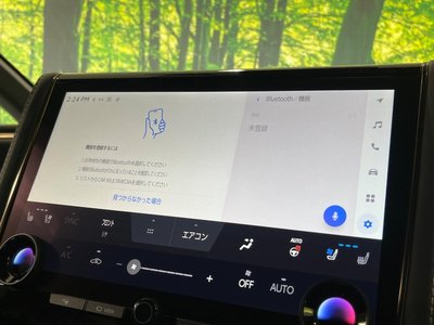 Thumbnail 29
