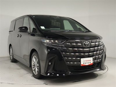 2025 TOYOTA ALPHARD 缩略图 13