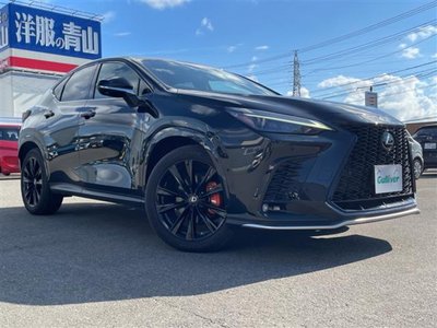صورة مصغرة 34 لـ 2023 Lexus NX