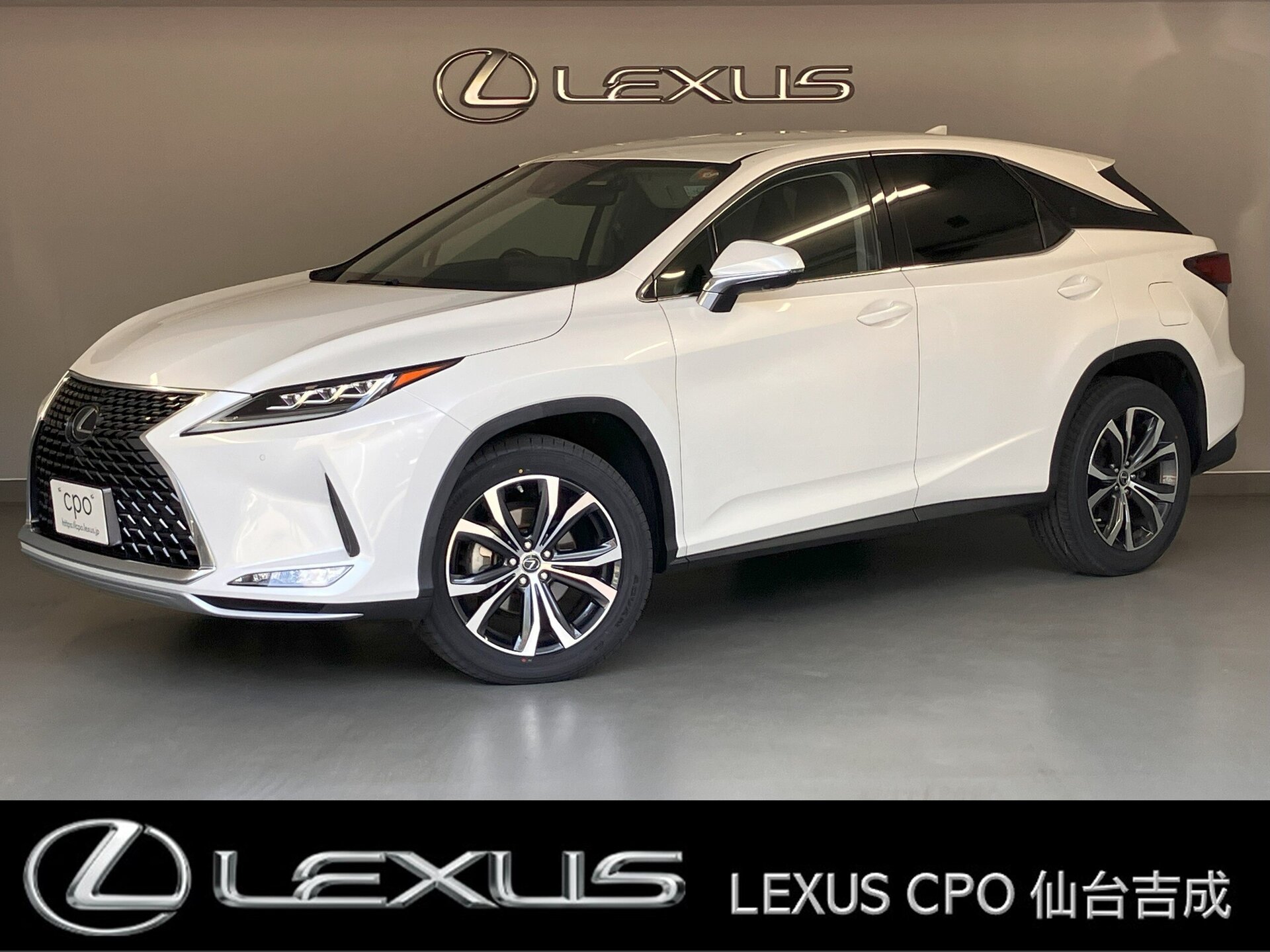 LEXUS RX - View 1