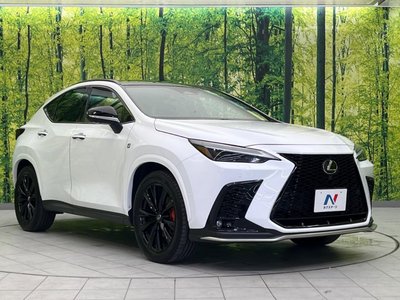 2023 Lexus NX 缩略图 16