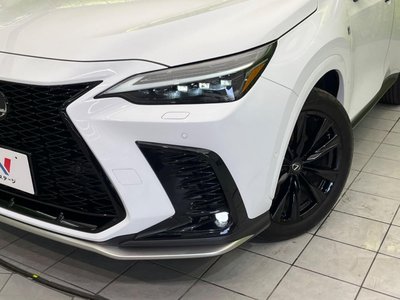 2023 Lexus NX 缩略图 12