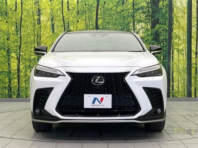 2023 Lexus NX 缩略图 14