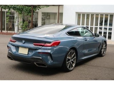 2019 BMW 8 SERIES 照片 5