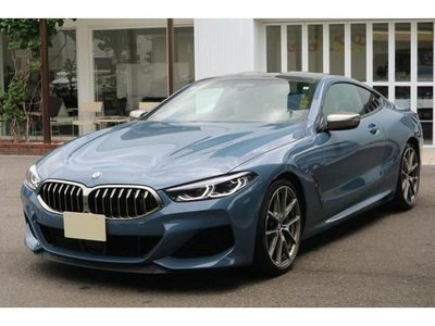 2019 BMW 8 SERIES 照片 2