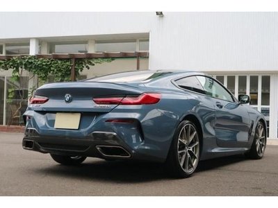 2019 BMW 8 SERIES 照片 4