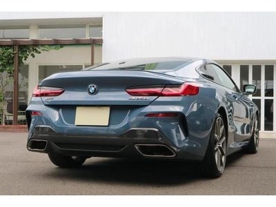 2019 BMW 8 SERIES 照片 6