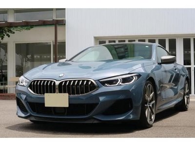 2019 BMW 8 SERIES 照片 1