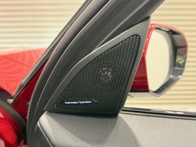 صورة مصغرة 58 لـ 2025 BMW X3