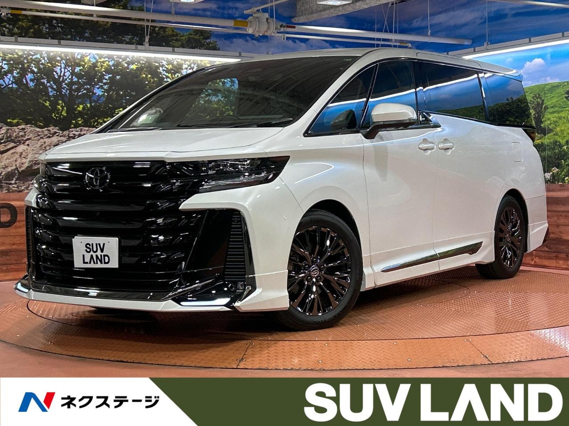 TOYOTA ALPHARD - View 1