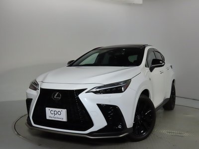 LEXUS NX - 6